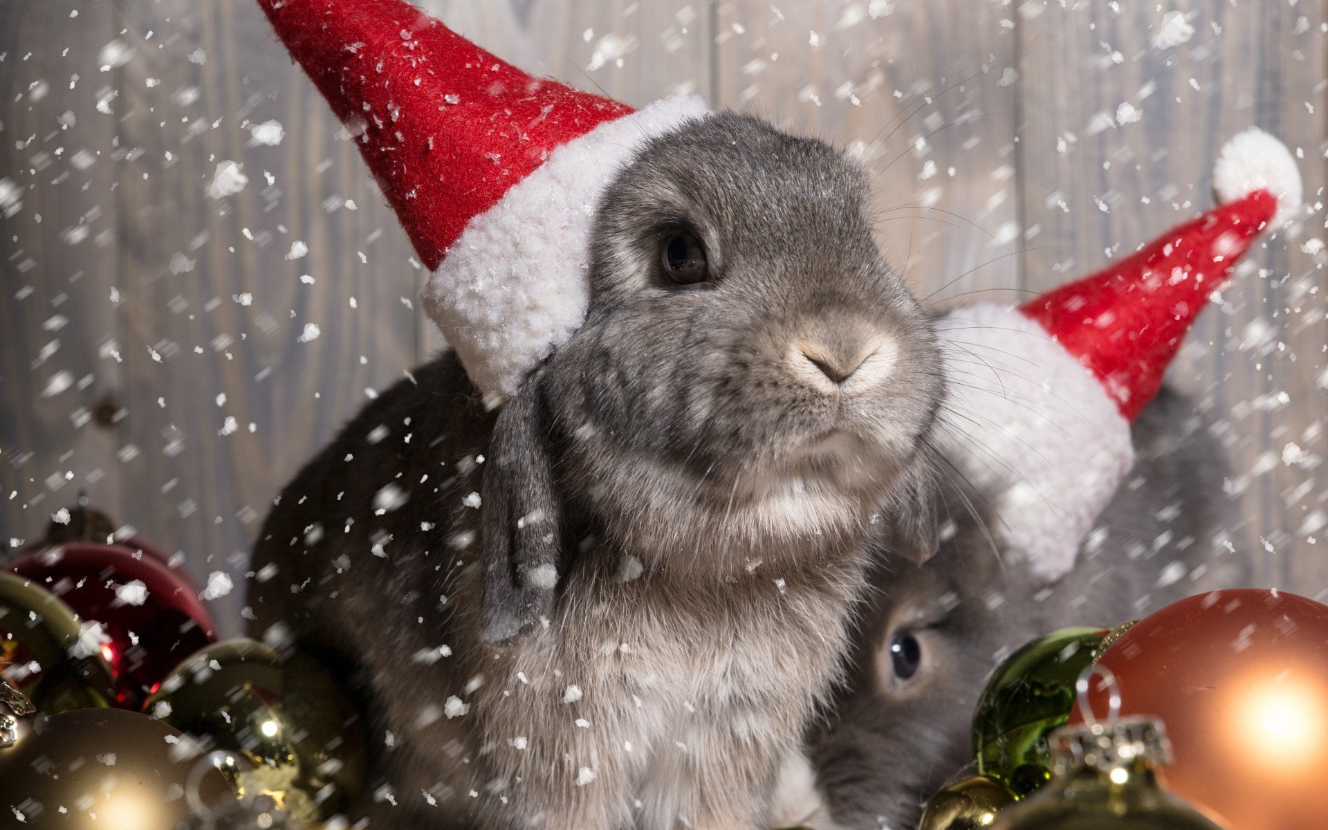 Christmas, bunny, Новый Год, New Year, праздник, шарики, украшения, Рождество