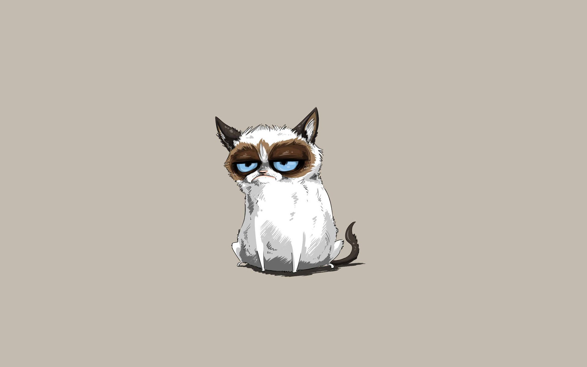 кошка, Сердитый Котик, кот, минимализм, Tardar Sauce, Соус Тардар, Grumpy Cat