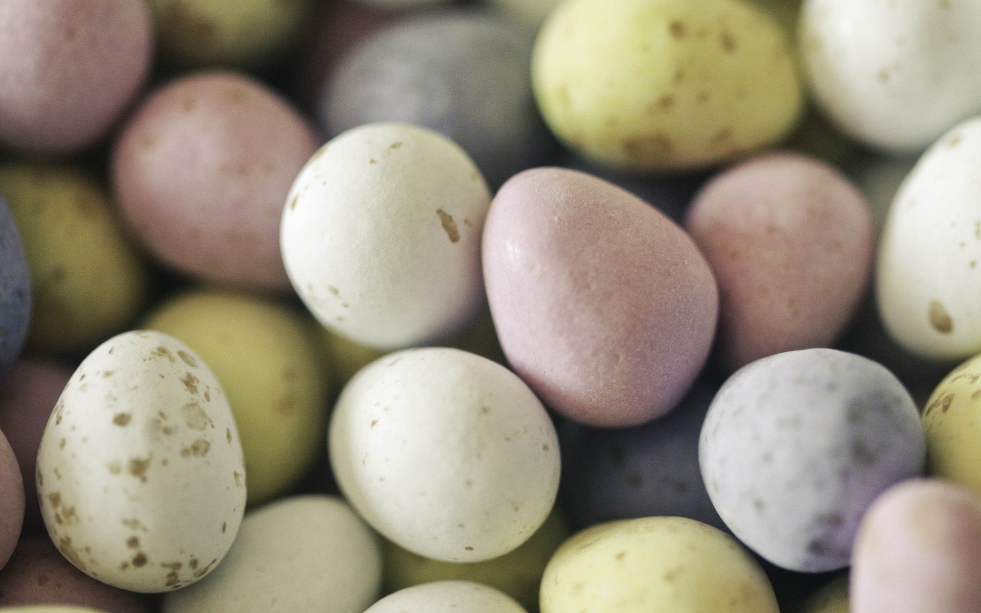 яйца, Пасха, Happy Easter