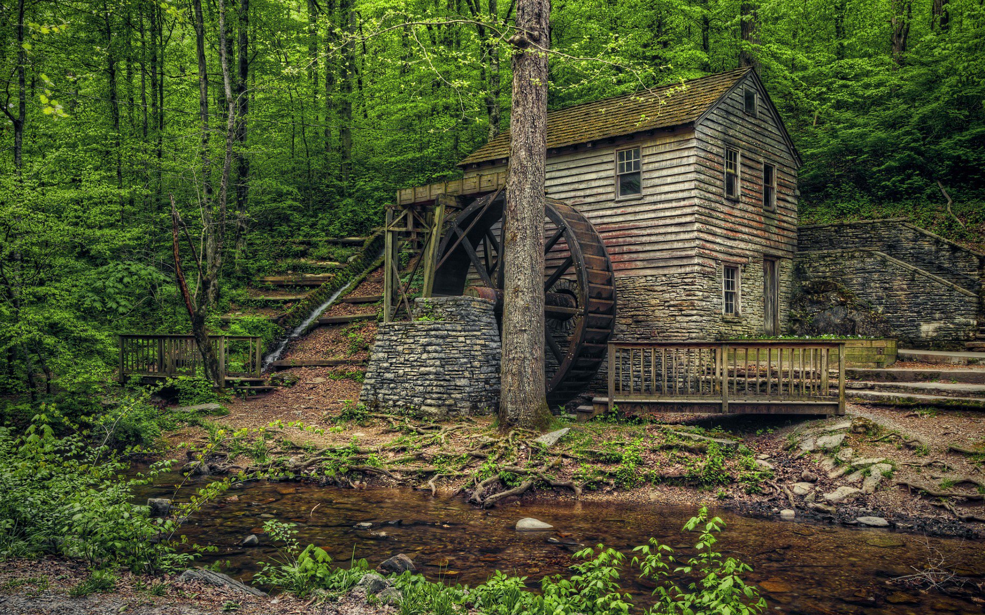 старая мельница, штат Теннесси, США, Norris Dam State Park