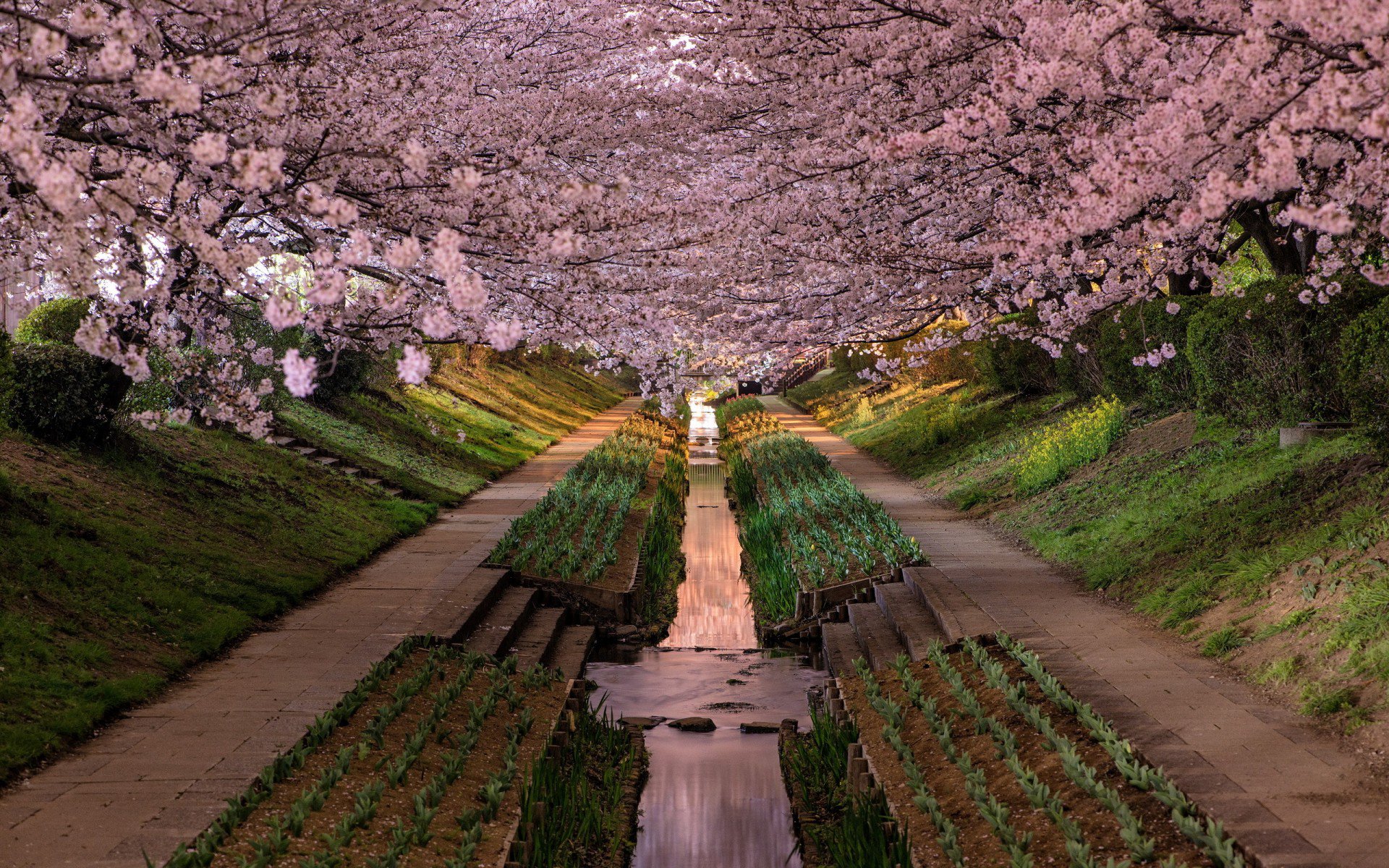 Kanagawa Prefecture, парк, Yokohama-shi, город, Japan