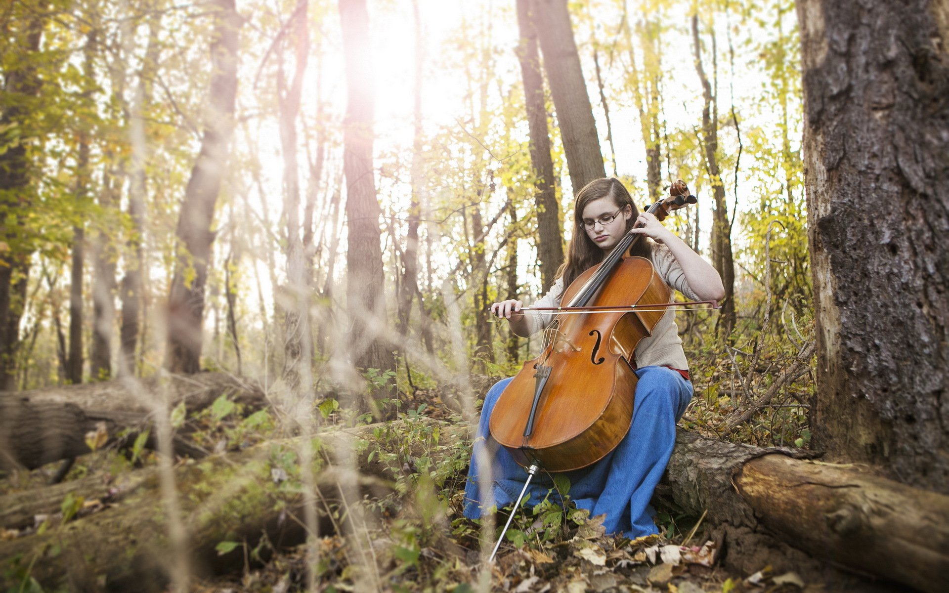 Autumn, Cello, Fall