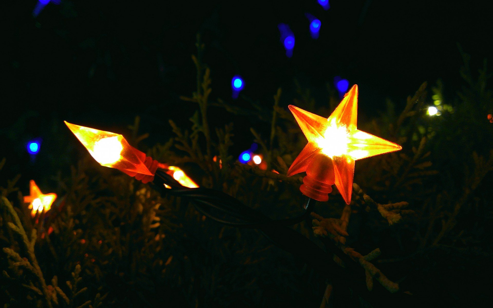night, green, star, new year