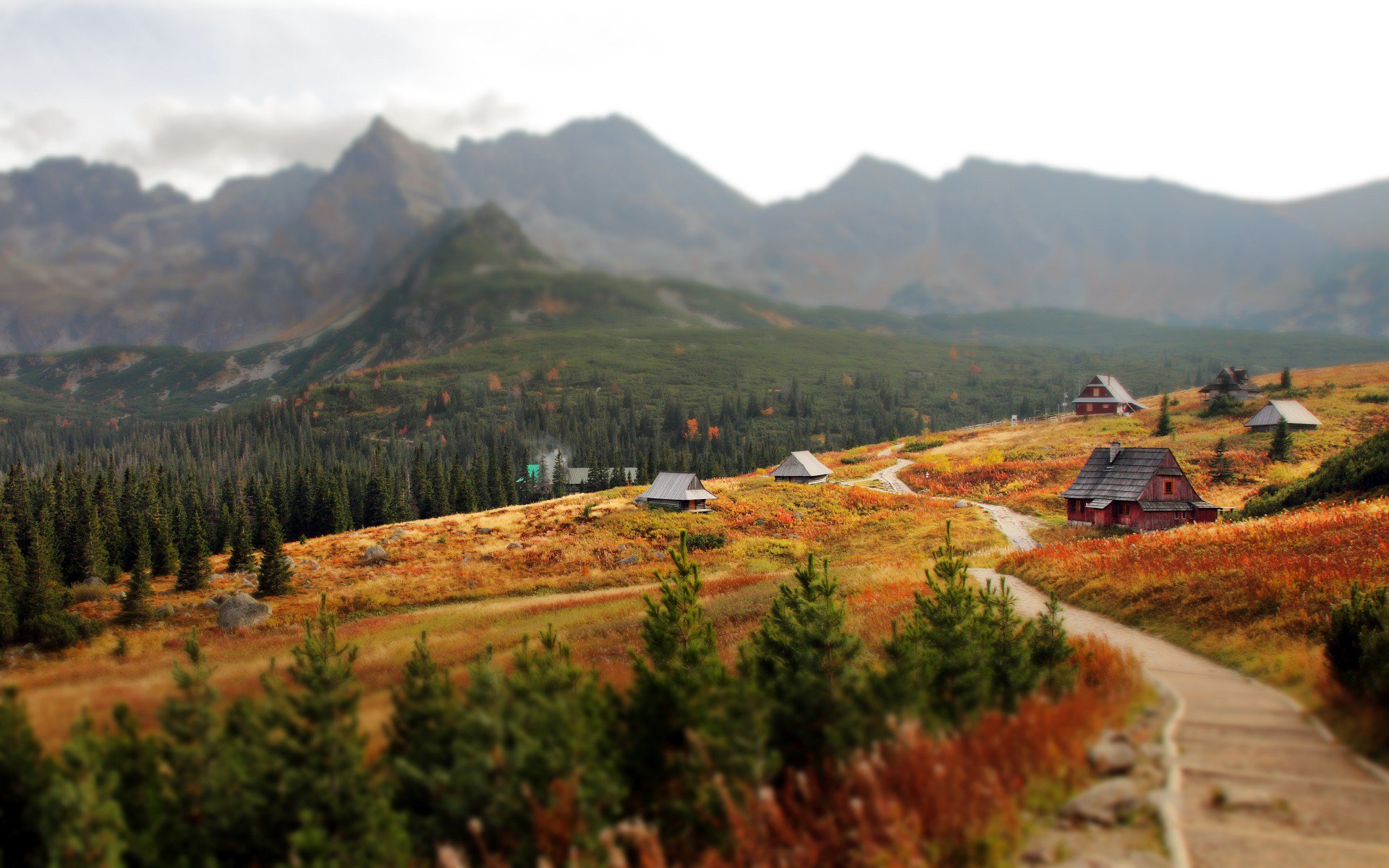 татры, карпаты, western carpathians, slovakia