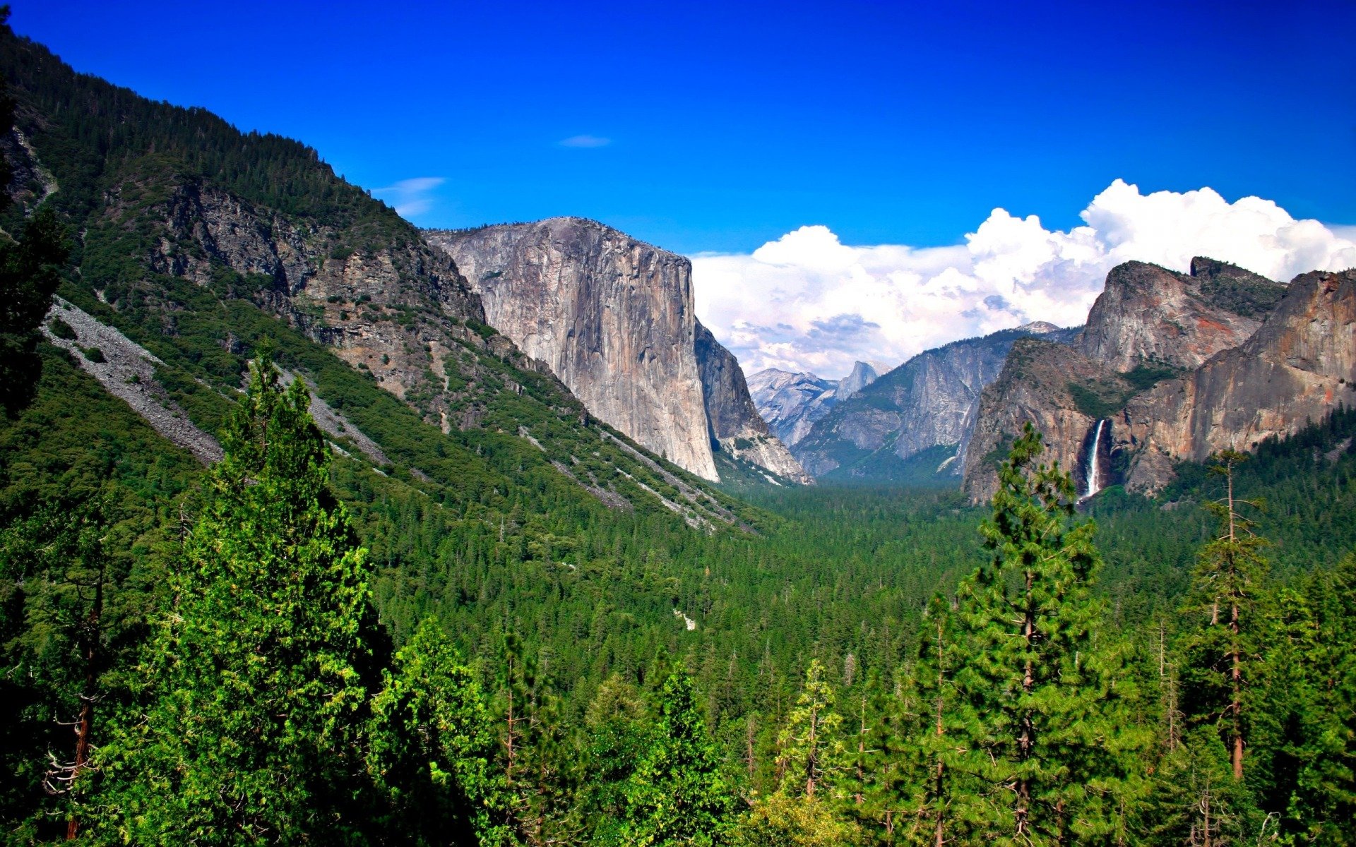 лес, windows-8, yosemite np, природа