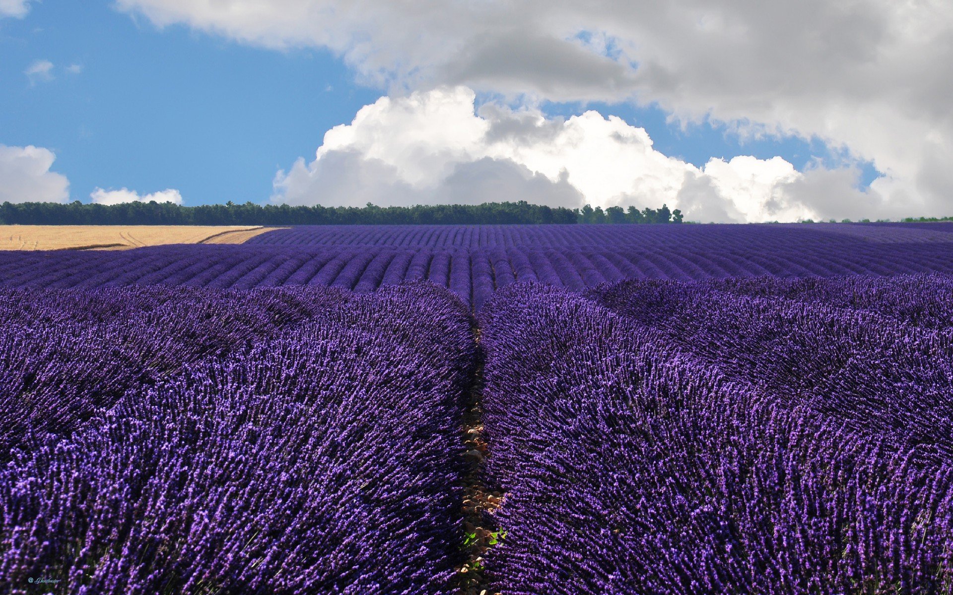 валансоль, облака, франция, valensole