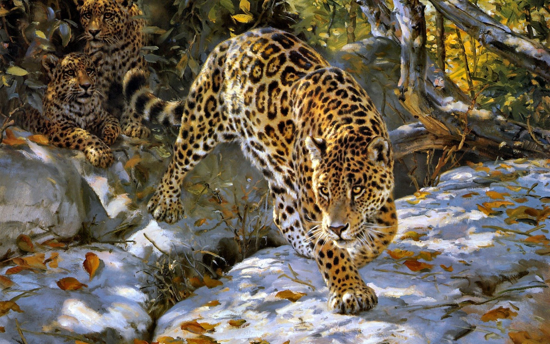 арт, ягуар, donald grant, осень