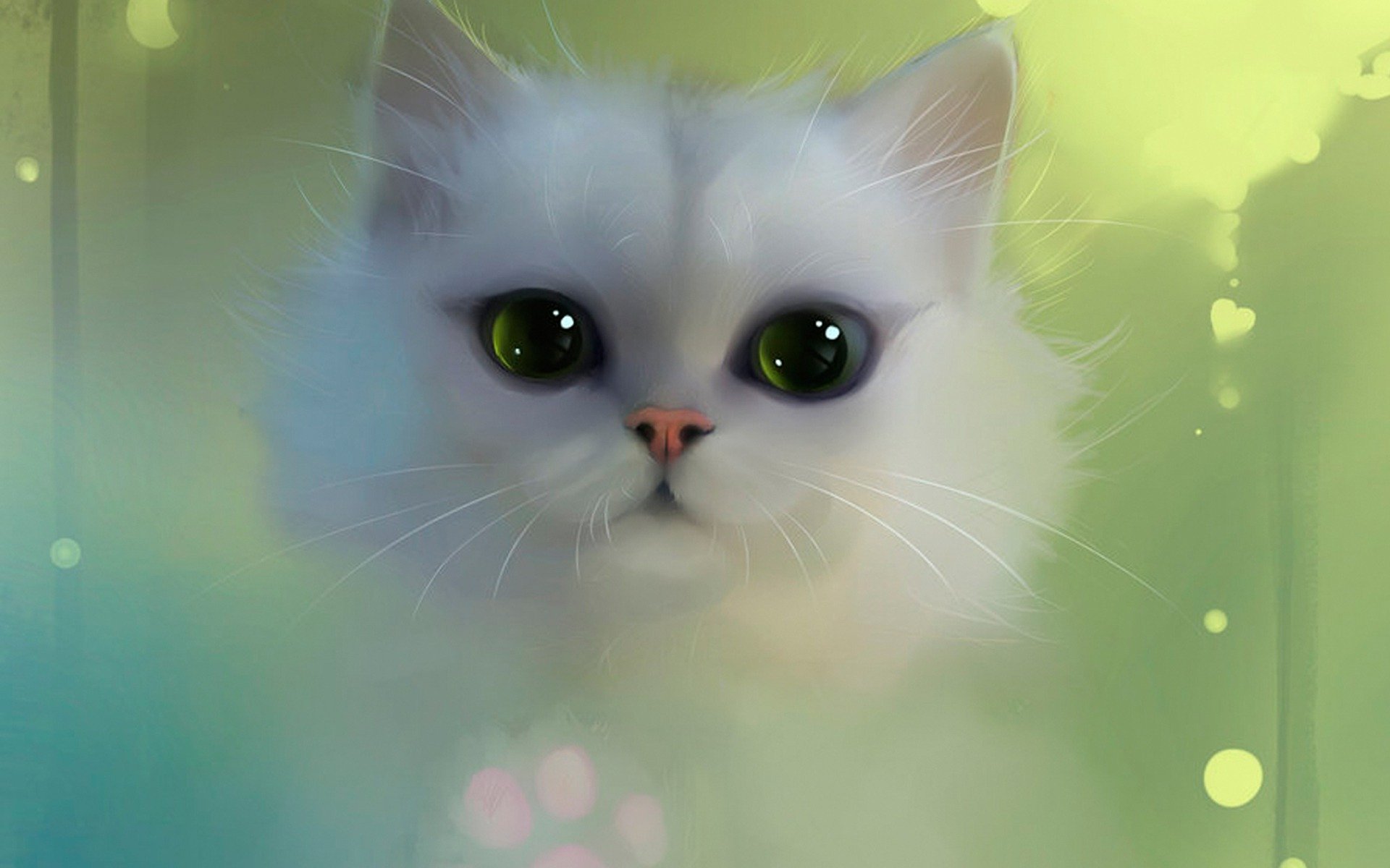 apofiss, белый, глаза, кот