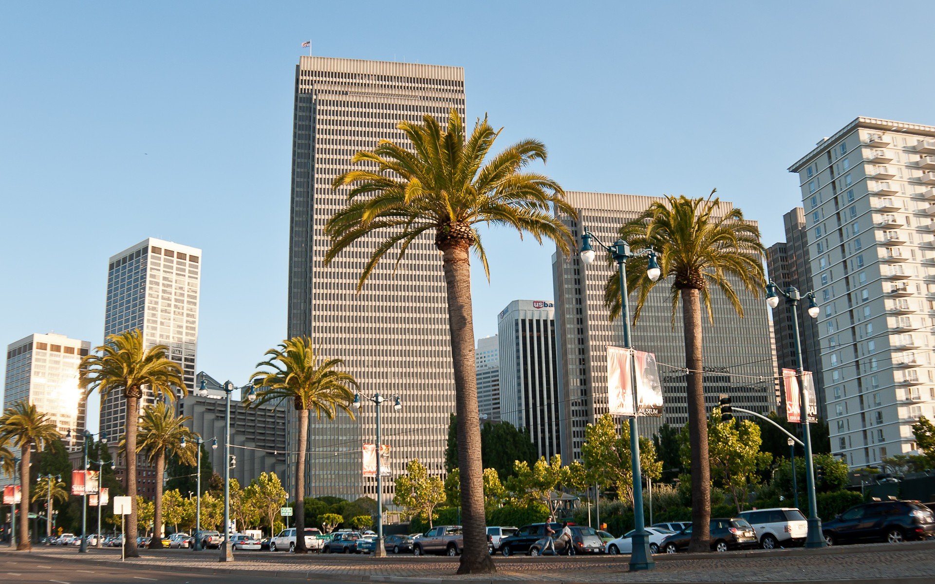 san francisco, сан-франциско, пальмы, америка