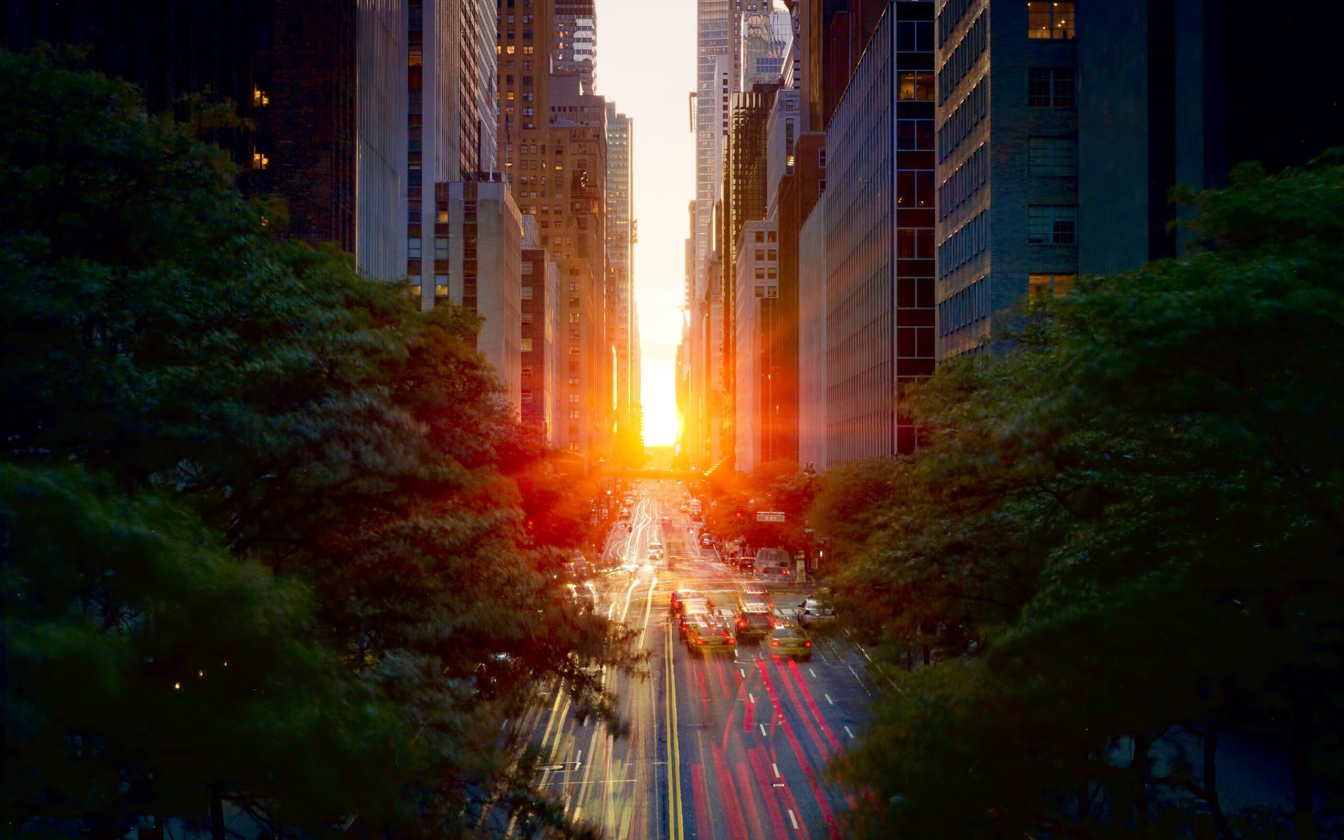 new york, машины, свет, весна