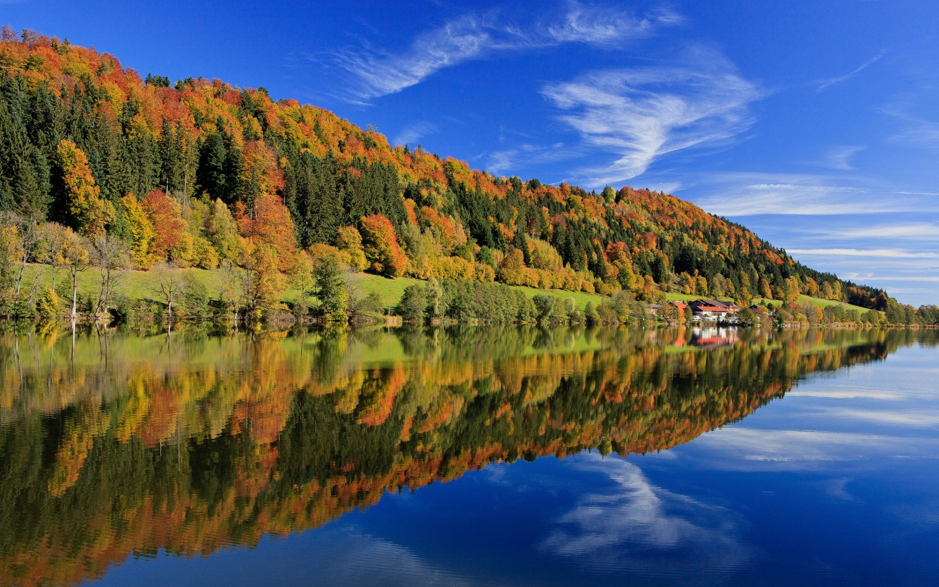 германия, лес, синее, бавария