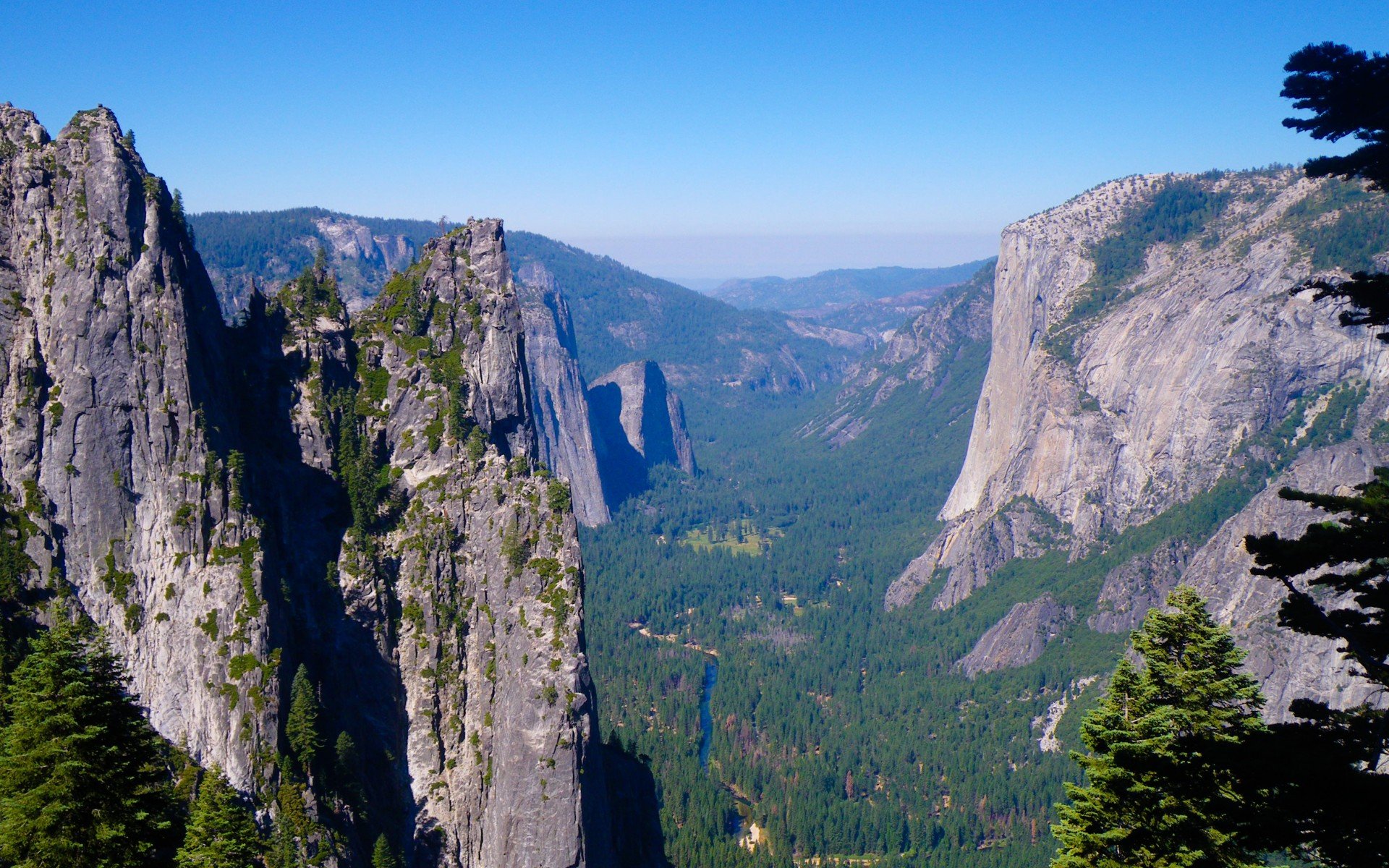 горы, лес, природа, yosemite national park