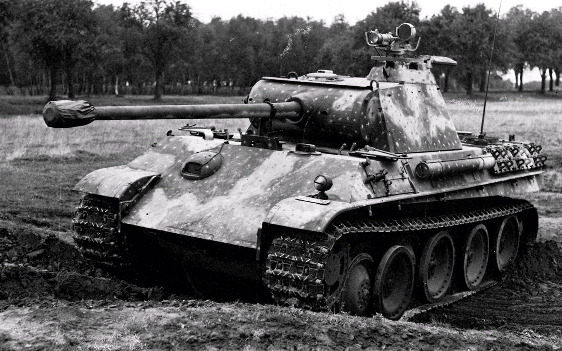 panter, pzkpfwv, pz