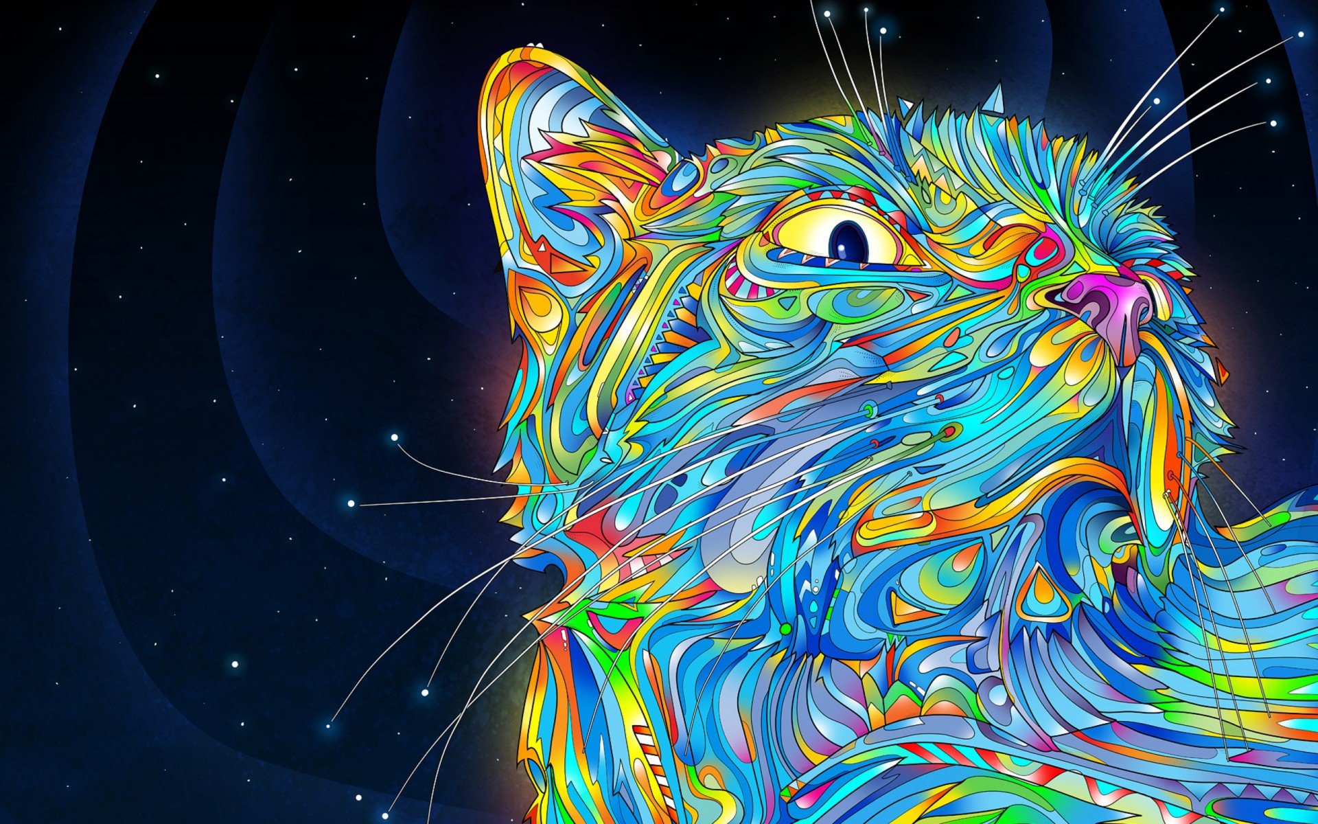 кот, усы, завихрения, цвета