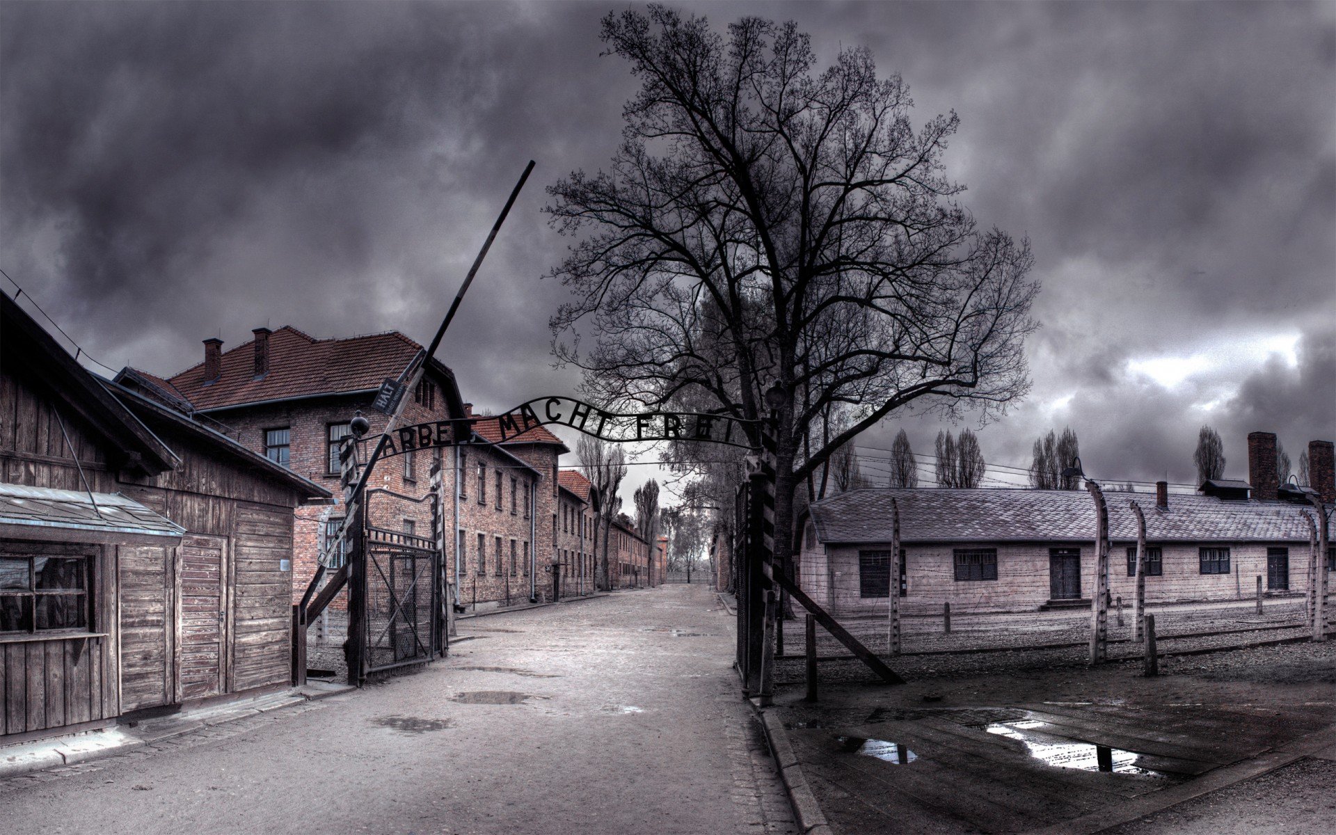 auschwitz, труд делает свободным, нуар, освенцим