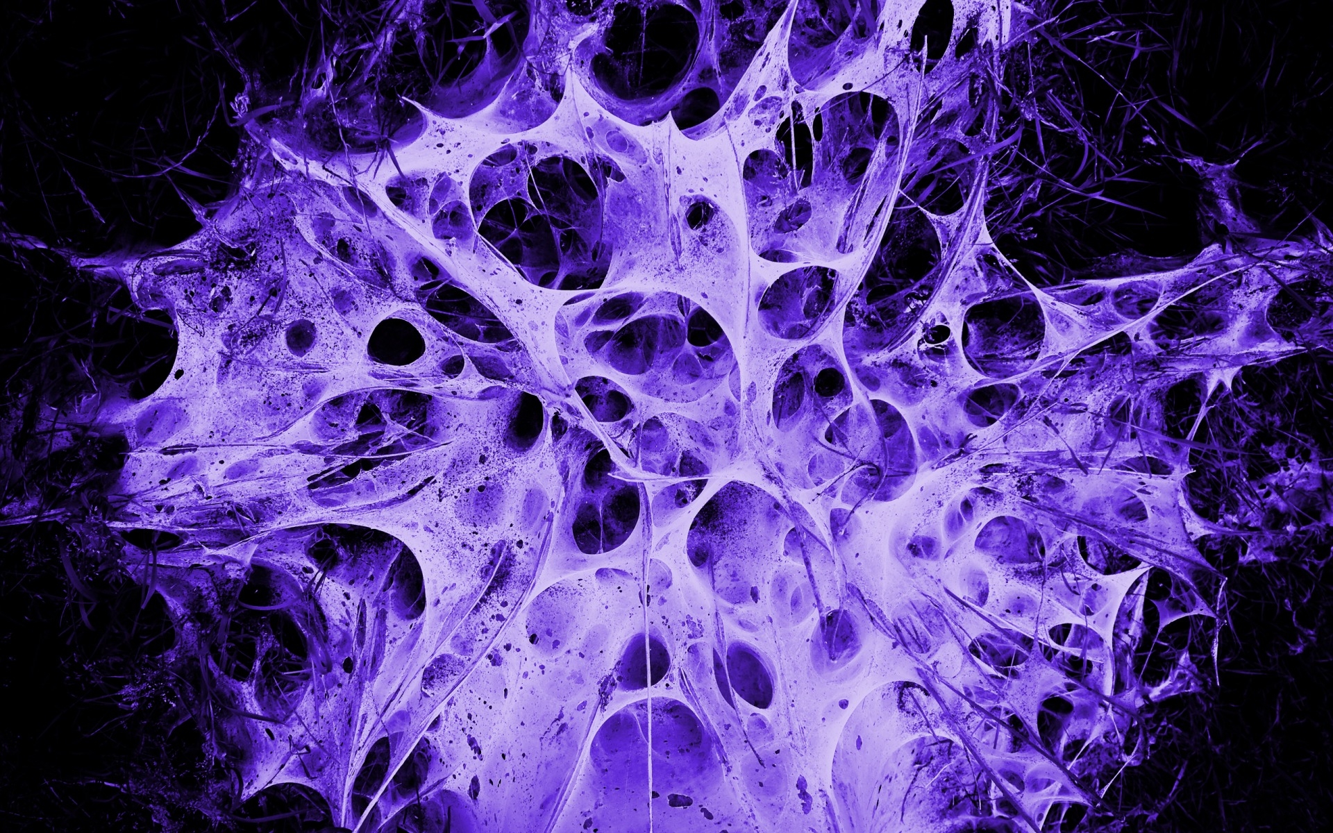 паутина, alien's nest, фиолетовый