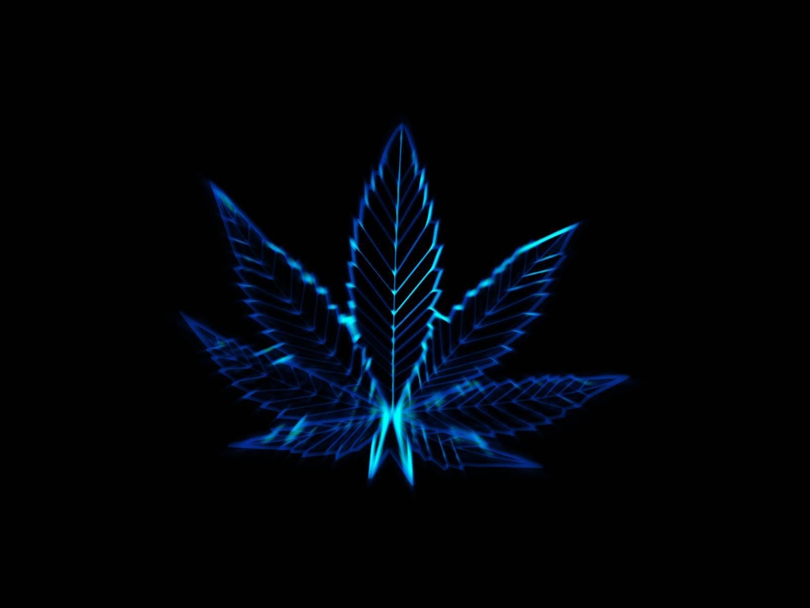 lifestyle, life, marihuana