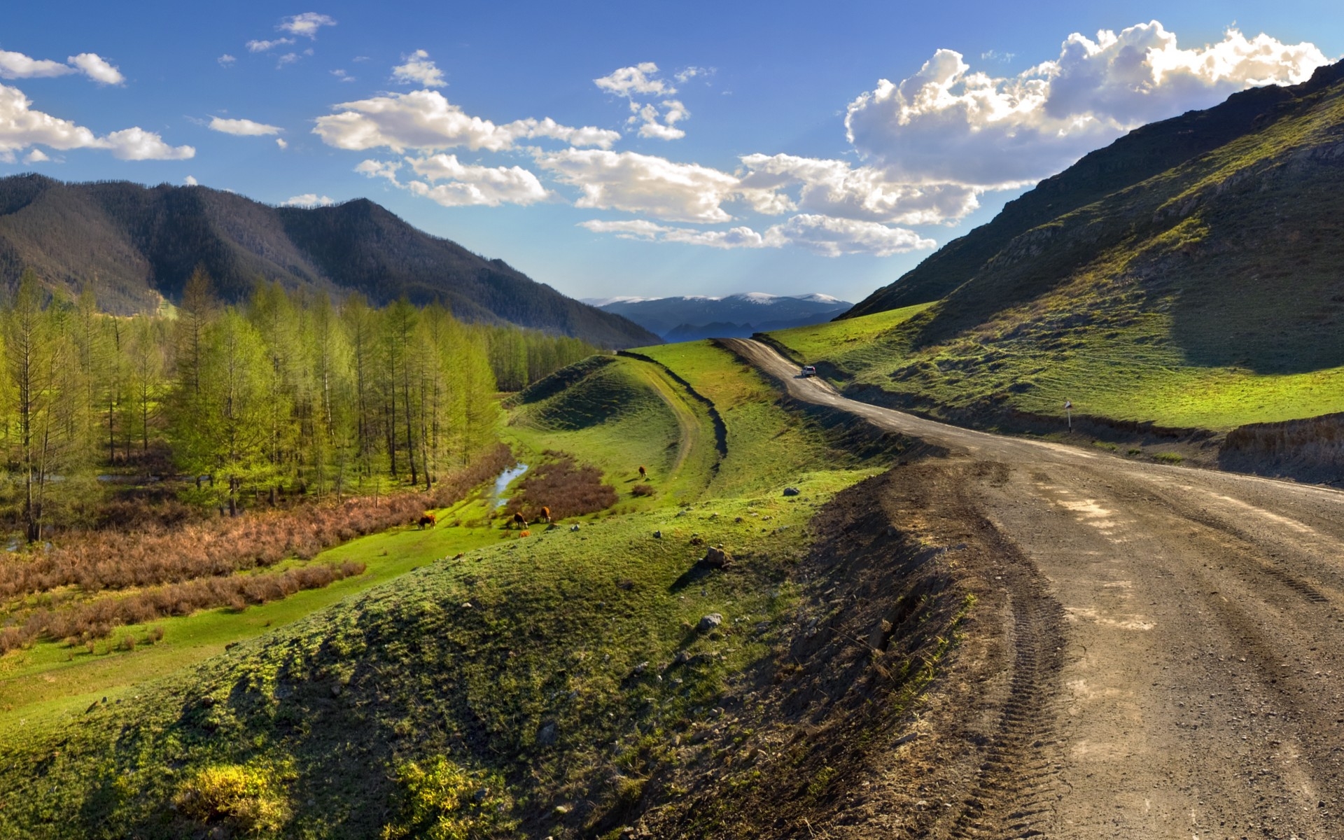 пейзаж, бантуризм, зеленая трава, путешествие мобиба